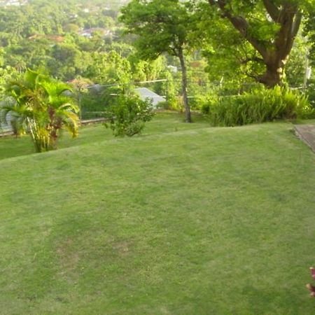 Hill Top Kingston Jamaica Екстериор снимка